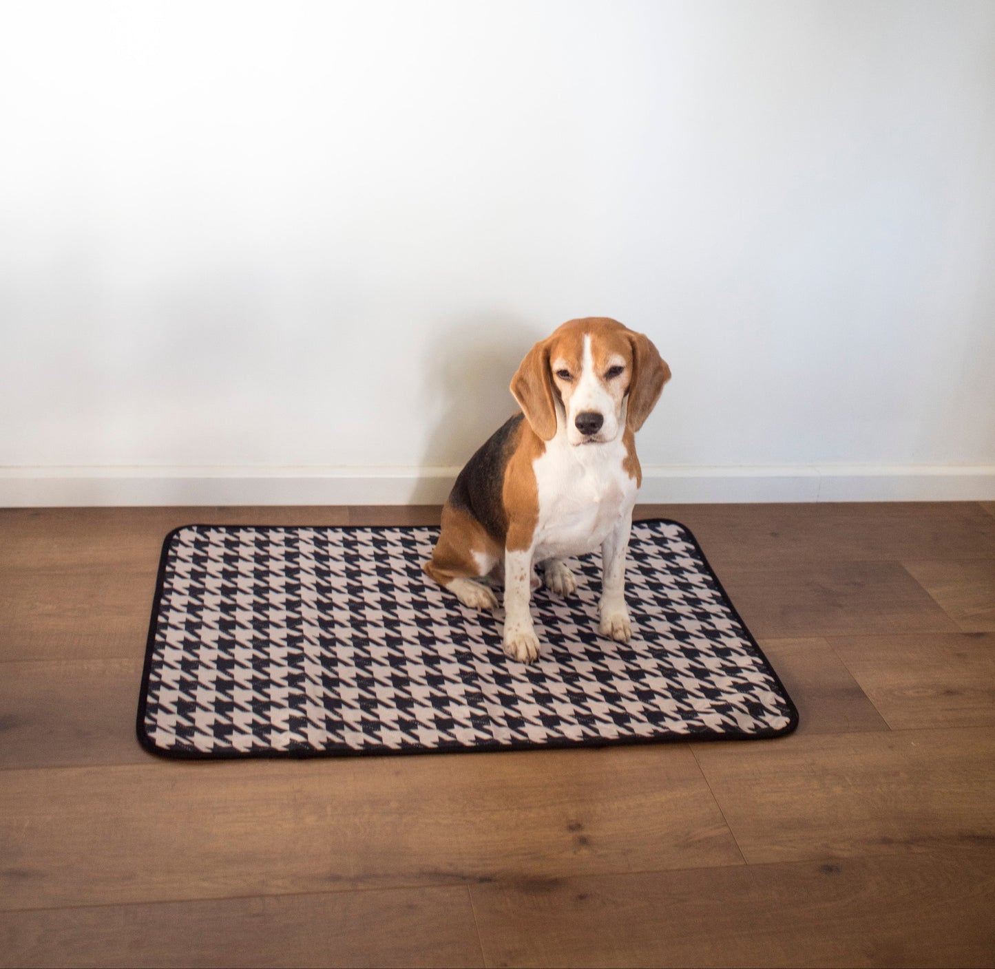 dog sitting on a washable dog pee pad indoors