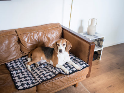 dog using a pet pee pad as sofa protection