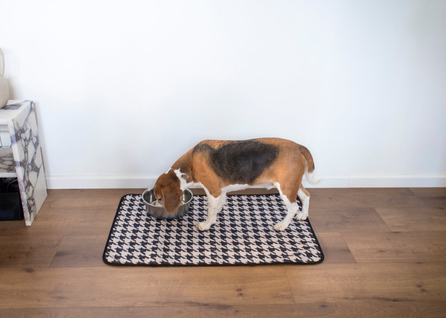 dog using a washable training pad at home