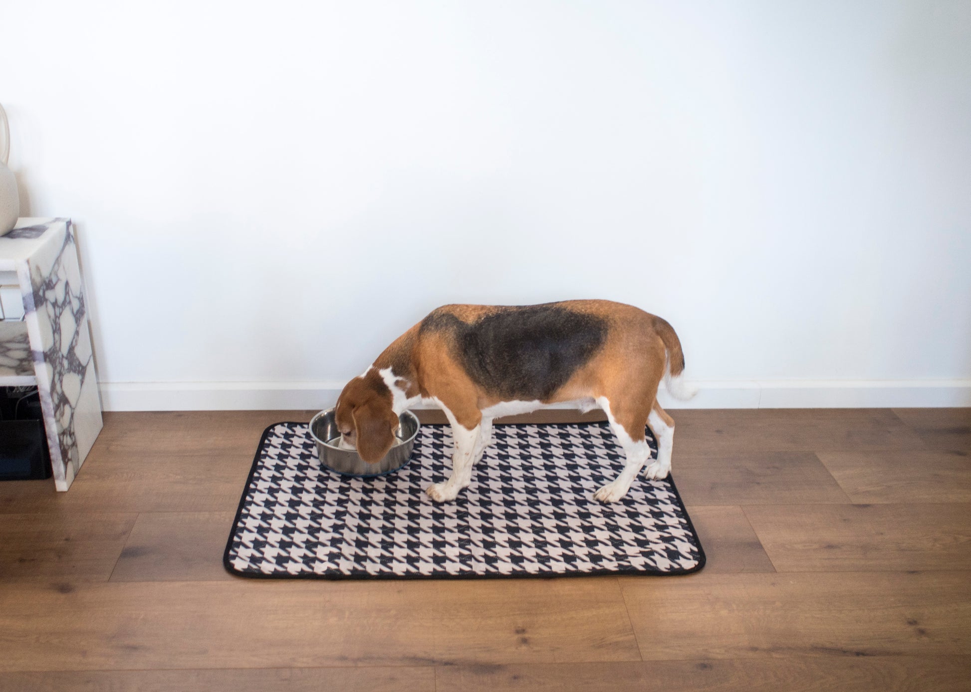dog using a washable training pad at home